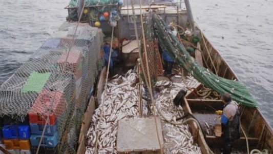 Industria pesquera: récord de capturas y exportaciones en 2025