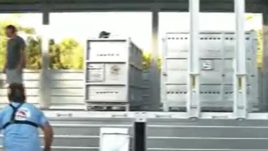 Trasladan a los animales que se encontraban en el ex zoo de Luján