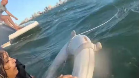 Vuelta de campana: Dos hermanos argentinos rescataron a una familia uruguaya en Punta del Este