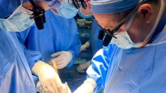 Día Mundial del Trasplante: más de 7.000 argentinos esperan un órgano