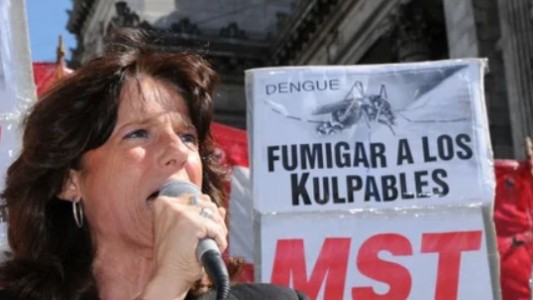 El incidente con Vilma Ripoll en el Congreso: se tiró sobre el auto de Milei