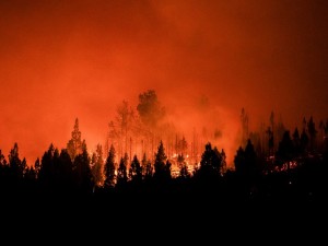 Incendios en Chubut: el fuego consumió más de 50 mil hectáreas y los brigadistas esperan dos jornadas de lluvias leves