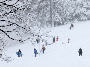 Nueva York bajo el "ciclón bomba": Central Park, una postal en medio de la tormenta histórica