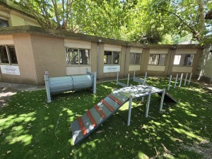 La UBA inaugura un laboratorio kinésico para el abordaje integral de la rehabilitación animal