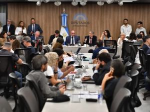 Audiencias por la reforma de la Ley de Glaciares: comienza hoy la primera jornada con 200 oradores presenciales