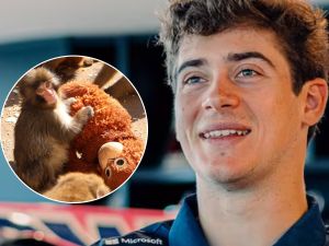 El nuevo "Imperio Romano" de Colapinto es el mono Punch: el curioso accesorio del piloto