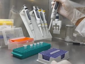 Brasil investiga a una científica argentina acusada de robar un virus en un laboratorio restringido