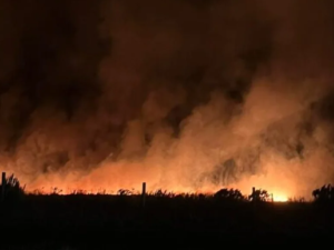 Incendio forestal en Mar del Plata: más de 200 hectáreas arrasadas