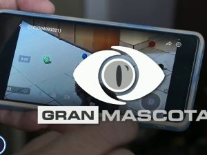 “Gran Mascota”: crece el uso de cámaras de seguridad para cuidar a perros y gatos