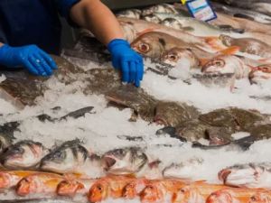 Afirman que el pescado registra la mayor suba de precios de la última década y que el consumo sigue cayendo