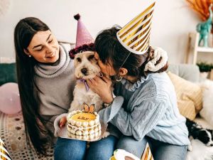 Cada vez más personas tratan a los animales de compañía como si fueran humanos