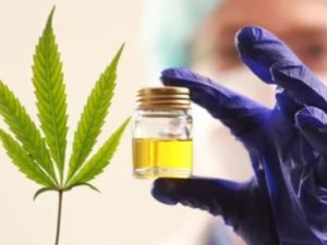 Investigadores chinos desarrollan una molécula a partir de cannabis medicinal