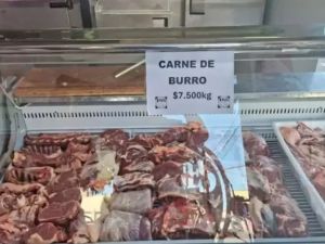 Polémica por la venta de carne de burro en Argentina: ¿es legal?