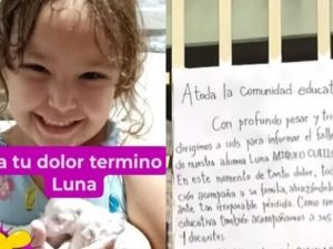 Investigan la muerte de una nena en una escuela: se tropezó y se golpeó contra un banco de cemento