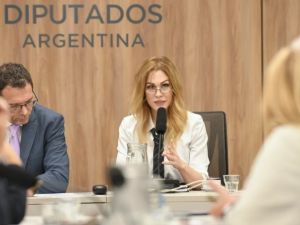 Lilia Lemoine asumió en la comisión de Juicio Político y tildó a la oposición dura de “destituyente”