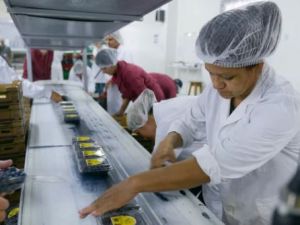 Pymes alertan en Diputados por la caída del consumo y un nuevo consenso fiscal