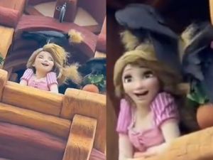 Cuervos atacaron a la princesa Rapunzel en Disneyland Tokio: le arrancaron el cabello y se lo comieron