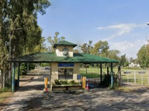 Denunciaron a rugbiers del club Regatas de Bella Vista por difundir un video sexual