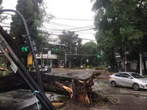 Fuerte temporal en el AMBA: inundaciones, destrozos y miles de usuarios sin luz