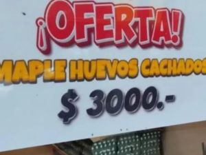Advierten del peligro de consumir huevos cascados en oferta