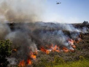 Un incendio forestal en el sur de California obliga a evacuar a más de 17.000 residentes