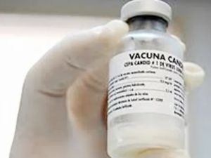 Alerta por ébola: qué es y cuál es la situación en Argentina