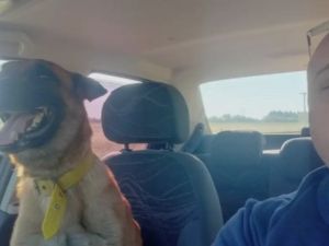 "Hola, bebé, te encontró papi": tras días de búsqueda, Roco volvió a los brazos de Mariano