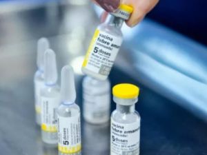 Fiebre amarilla: ante el brote detectado en Bolivia, realizan una vacunación focalizada en Salta