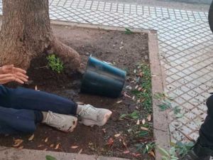 Rosario: caminaba por una vereda y le cayó encima una maceta con una planta de marihuana