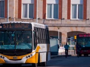 Mar del Plata: sigue el paro de colectivos