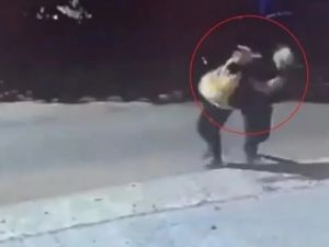 Detuvieron al delincuente que le robó a un nene de 12 años cuando iba a la escuela en La Plata