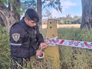 Caso Agostina Vega: realizan un intenso rastrillaje en un descampado