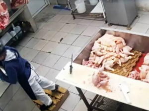 Discutió con su compañero de trabajo y le puso veneno para ratas en el mate: quedó detenida