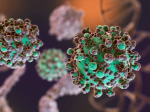 Hantavirus: se notificaron nuevos casos y la totalidad de los mismos asciende a 47