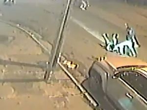 Batalla campal en Mar del Plata: corridas, empujones y golpes de puño en plena vía pública