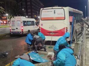 Mar del Plata: difundieron un nuevo parte médico de los heridos tras el atropello fatal