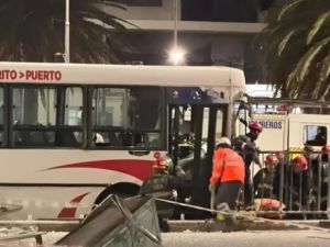 Declaró el chofer del colectivo que atropelló y mató a una joven en Mar del Plata: “No pude hacer nada”