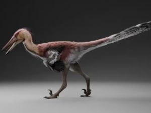 Histórico: hallan una nueva especie de dinosaurio raptor en Santa Cruz
