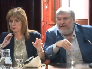 “Hacen lo que se les canta las pelotas”: fuerte cruce entre Bullrich y Mayans en el Senado