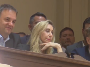 Festeja la Casa Rosada: el Senado dio media sanción a la reforma laboral