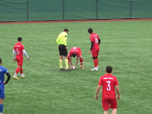 Un futbolista le hizo RCP a un gaviota herida durante un partido en Turquía