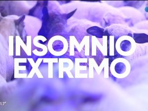 Insomnio extremo: historias desesperadas del gran mal de estos tiempos