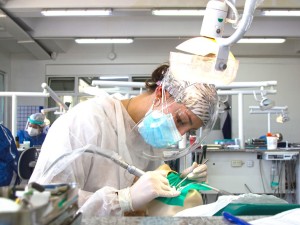 Hospital Odontológico de la UBA: largas filas para atenderse