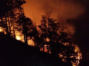 Incendio en Los Alerces: operativo de emergencia para proteger viviendas y servicios turísticos