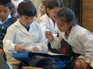 El Plan Nacional de Alfabetización cumple 2 años: menos de la mitad de los alumnos alcanza el nivel esperado