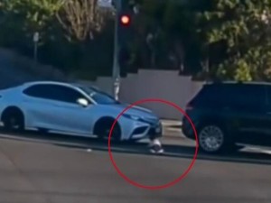 Estados Unidos: un bebé se cayó de una camioneta en movimiento y detuvieron a su madre