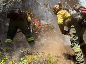 Un brigadista sufrió graves quemaduras durante el combate del incendio en Epuyén