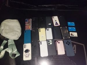 Detuvieron a una mujer acusada de robar 18 celulares en los carnavales porteños