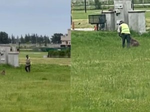 Asesinaron a un carpintero para robarle la moto en Laferrere