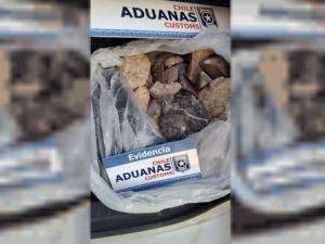 Llevaba 18 fósiles en el baúl: intentaron pasar los restos a Chile y los detuvo la Aduana